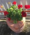 Mg Apartmanh�z