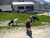 Apartamento Haus Erle