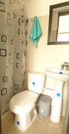 Lindo Apartamento Centro Pereira