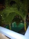 The 925 Ocean Boutique Hotel