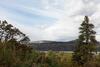 Tree House-river View-2br/1ba