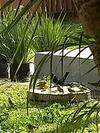 Casa Jardim Dos P�ssaros