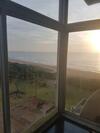 Beach Frond Apartment