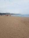 Beach Frond Apartment