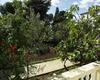 Apartments By The Sea Brodarica (sibenik) - 919