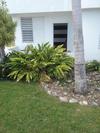 Apartamento Ocean Dreams