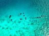 Hostal Athiri Beach Maldives