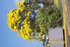 Bed & Breakfast Wataview