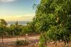 Sunshine Lodge: Your Home Away From Home