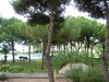 Apartamento Finca Del Moro