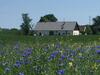 Hotelborrby