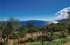 Three-bedroom Holiday Home In Matulji