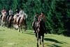 Hotel Sportgasthof Lipp