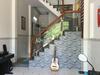 Hostal Sunny Homestay Quy Nhon
