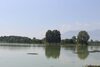 Hotel Nigeen Lake View Resort