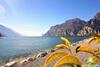 Apartamento Appartamento Yachting Club
