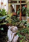 Bed & Breakfast Le Jardin Du Fort - Galle