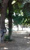 Hostal Guest House Vysoky Bereg