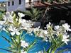 Hostal Cortijo Berruguilla Casa Rural