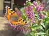 Birkende Bed And Breakfast