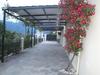 Nestor Apartments