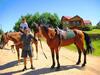 Khutorok Holiday Park