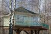 House On The Tree