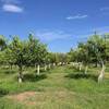Lodge Iuta Glamping & Farm