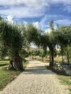 Lodge Iuta Glamping & Farm