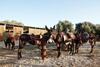 Agroturismo Agriturismo Agrimilo