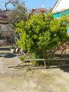 Hostal Usadba Panteleya Guest House