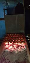 Hostal Usadba Panteleya Guest House