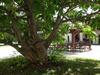 Agroturismo Agriturismo Rivieraoglio