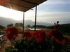 Hotel B&B Cascina Artemisia