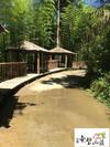Posada Dong Bi Villa