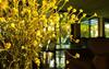 Alexakis Hotel & Spa