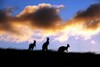 Lifetime Private Retreats