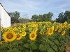 Hotel Hodota Resort Center