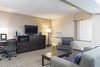 Hotel Holiday Inn Chicago - Elk Grove