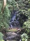 Hostal Pousada Recanto Da Siriema