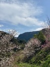 Yufuin Ryoan Wazanhou