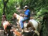 Bed & Breakfast Ruta Verde House