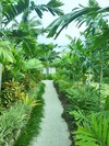 Apartamento Tanna Evergreen Resort & Tours