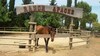 Bed & Breakfast Casato Calabrese