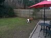 Cranberry Manor Bed And Breakfast Cape Cod