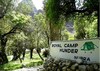 Royal Desert Camp