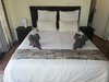 Posada Ama-zing African Safaris Lodge