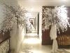 Hotel White Lotus