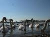 Hostal Rheinriver Guesthouse - Art Hotel