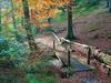 Hostal Hotel Forellenhof